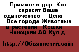 Примите в дар. Кот скрасит Ваше одиночество. › Цена ­ 0 - Все города Животные и растения » Кошки   . Ненецкий АО,Куя д.